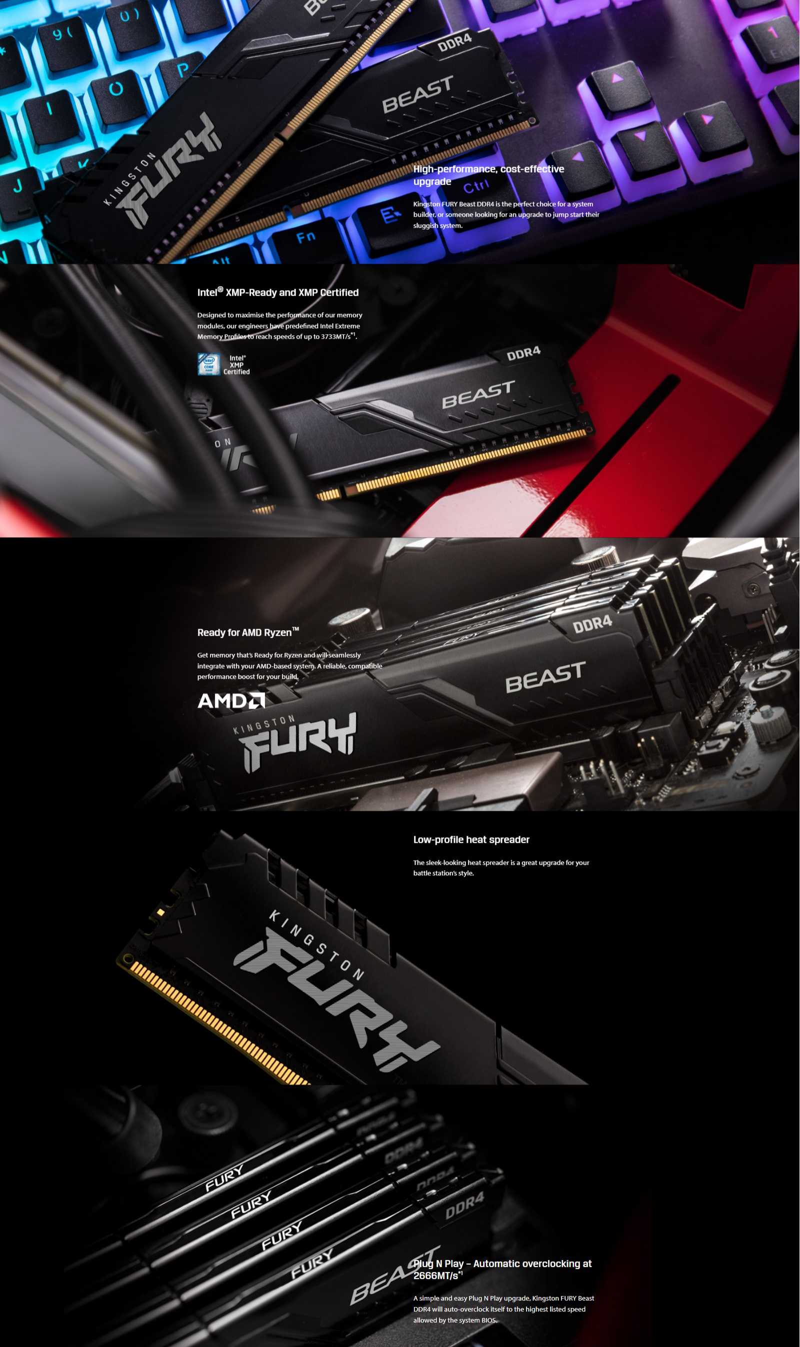 Fury-Beast-DDR4-Product-Description.jpg (891 KB)