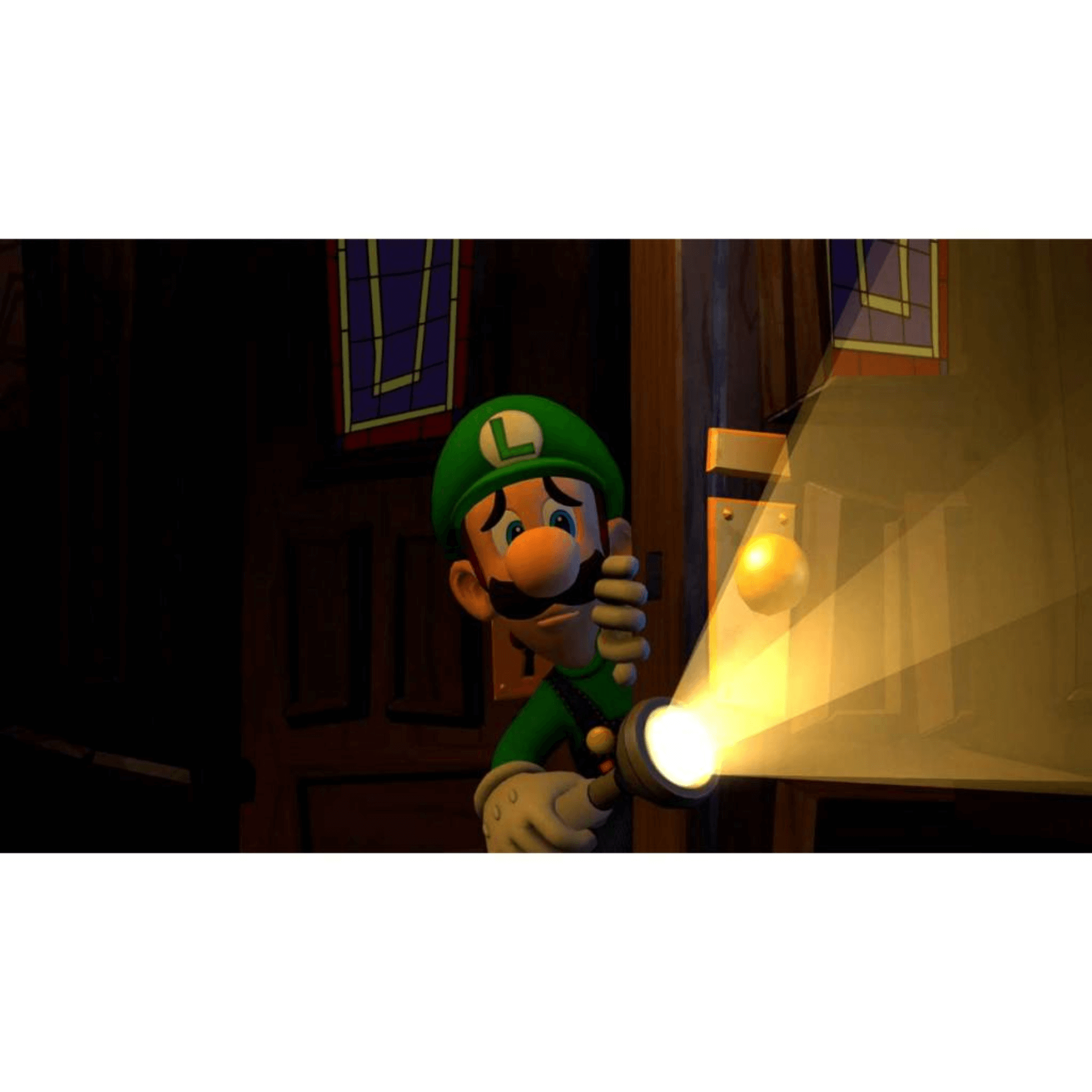 Nintendo Switch Game Luigi's Mansion 2 HD | Thunder Match