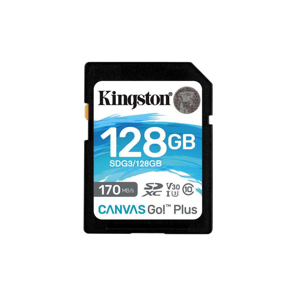 Kingston Canvas Go Plus SD Card UHS-I C10 U3 V30 A1