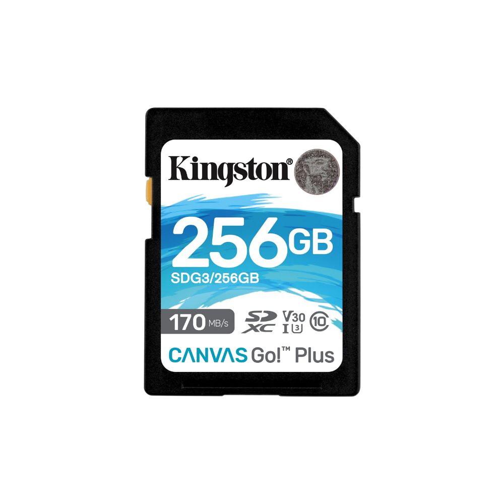 Kingston Canvas Go Plus SD Card UHS-I C10 U3 V30 A1