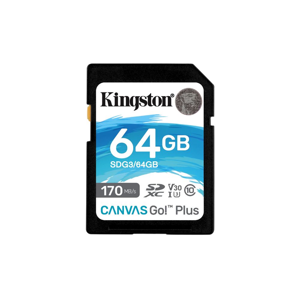 Kingston Canvas Go Plus SD Card UHS-I C10 U3 V30 A1